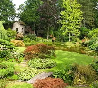 entretien jardin La Chapelle Neuve-5