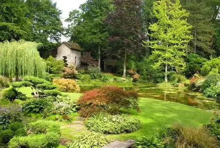 jardinier La Chapelle Neuve-4